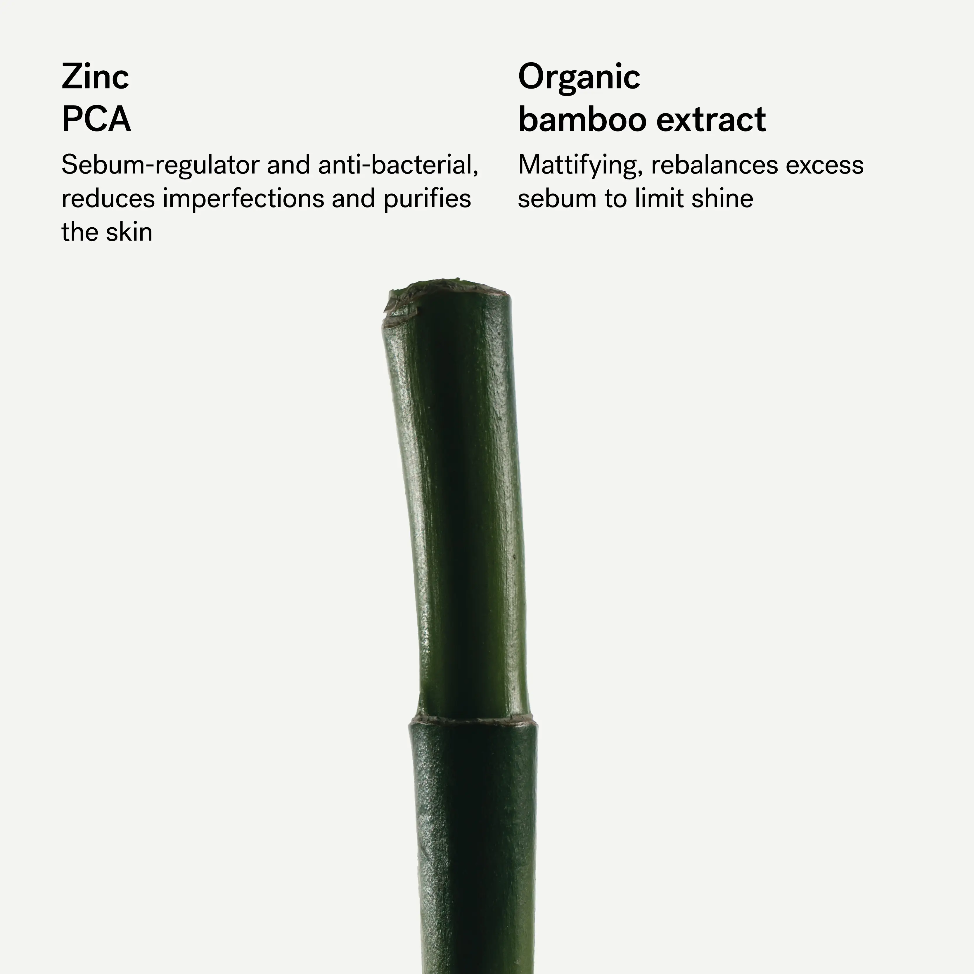 Purifying Face Gel Cleanser  — 2% Zinc PCA + Bamboo Extract