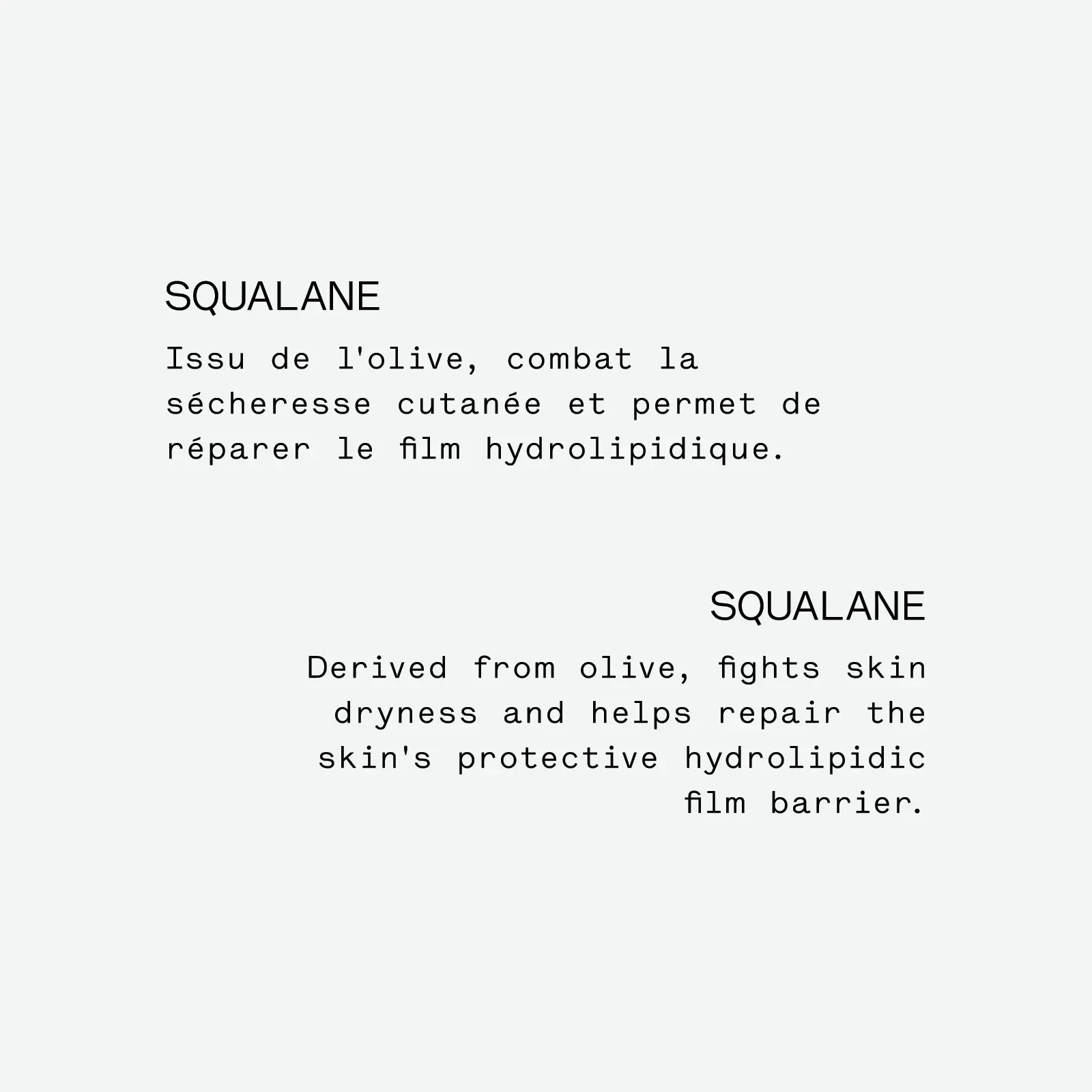 Nourishing Body Cream — with 10% Squalane + Shea Butter