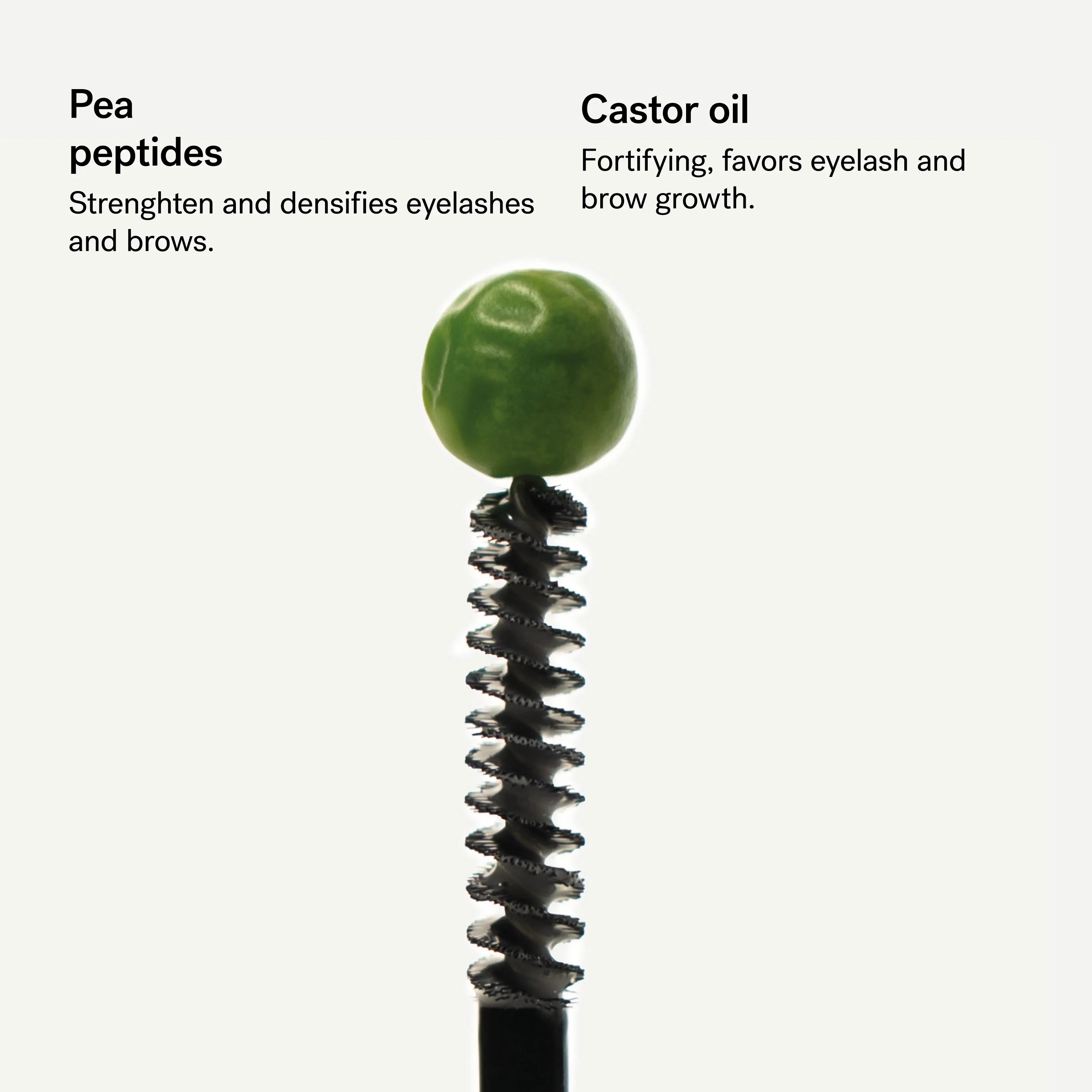 Densifying Lash and Brow Serum — 2% Pea Peptides + Castor Oil