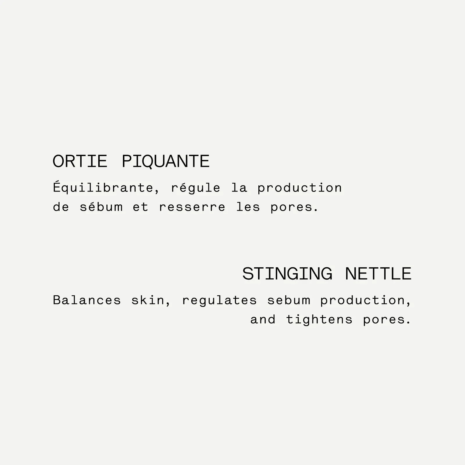 Purifying Mask — Charcoal + Organic Nettle