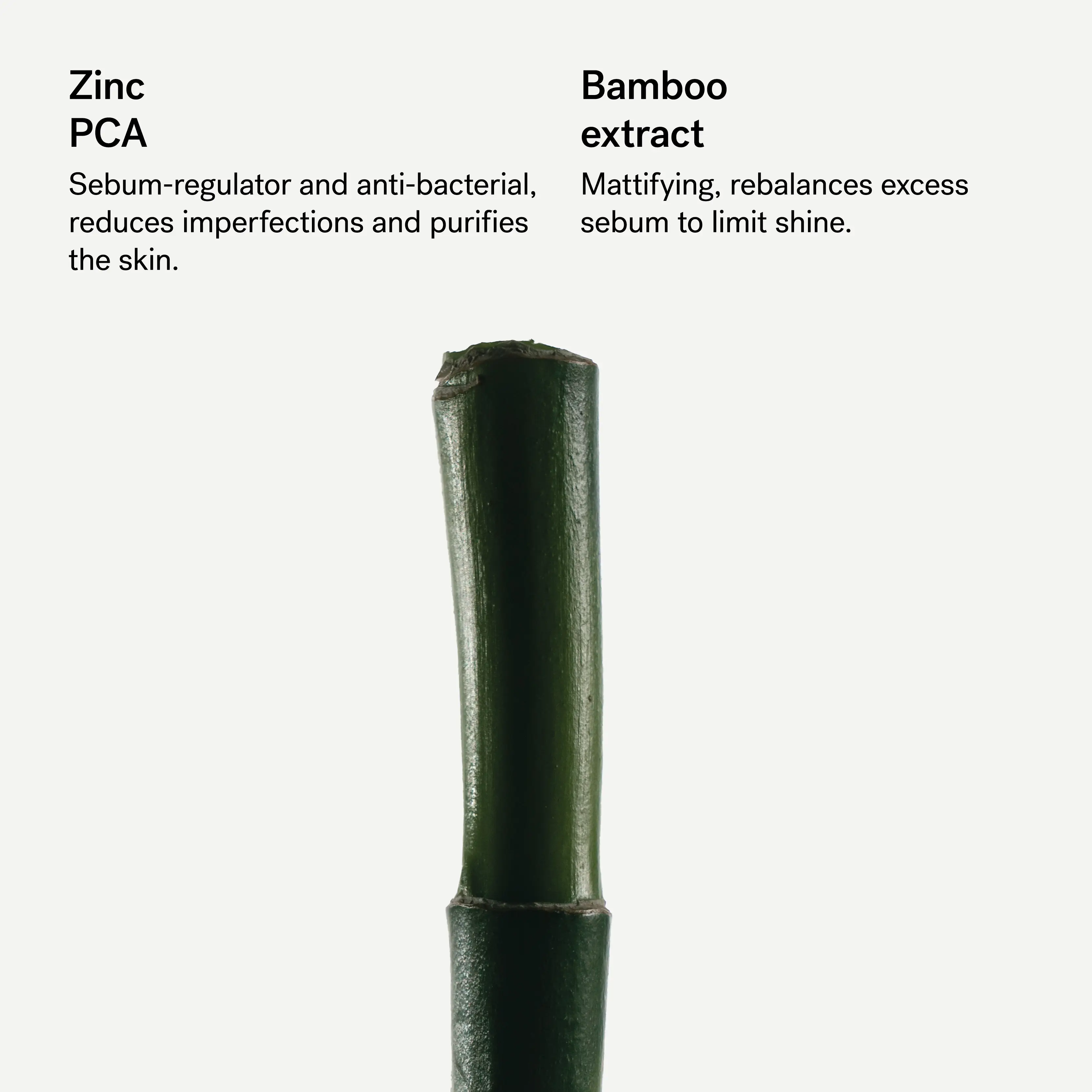Purifying Moisturizer — 4% Zinc PCA + Bamboo Extract