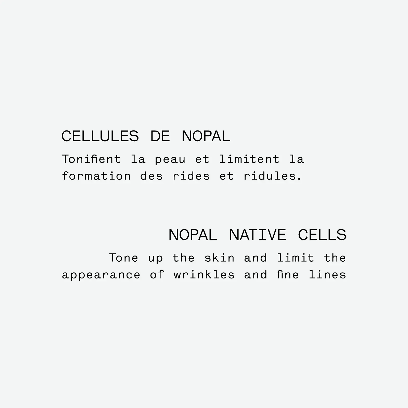 Firming Night Serum — Botanical Blend with Nopal Cells