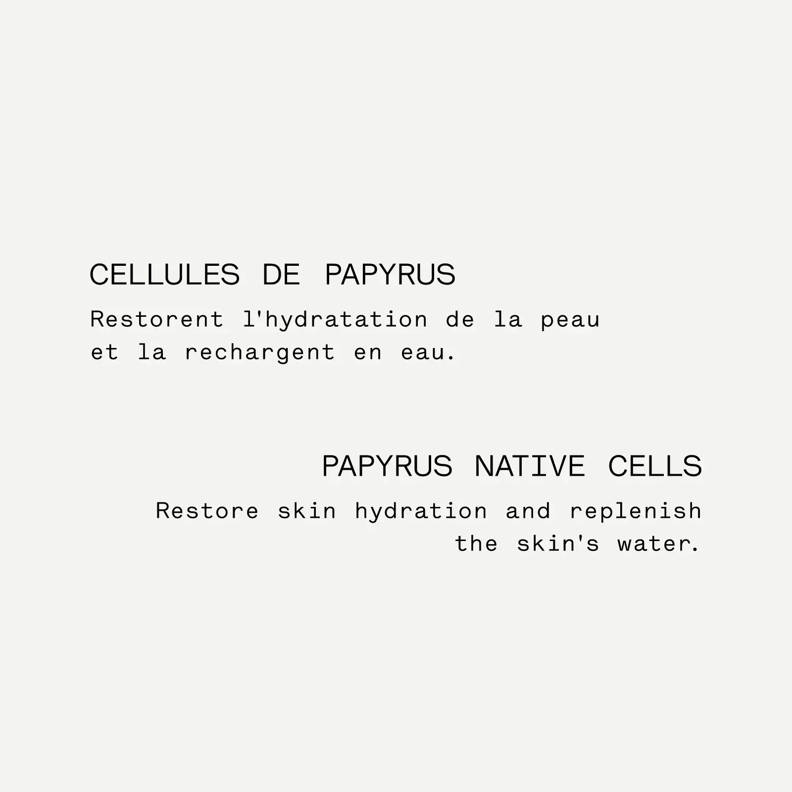 Hydrating Night Serum — Botanical Blend with Papyrus