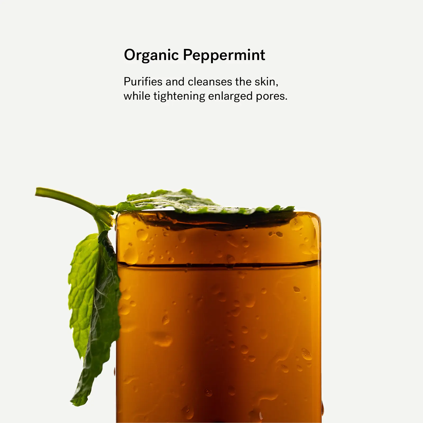 Organic Peppermint Hydrolate