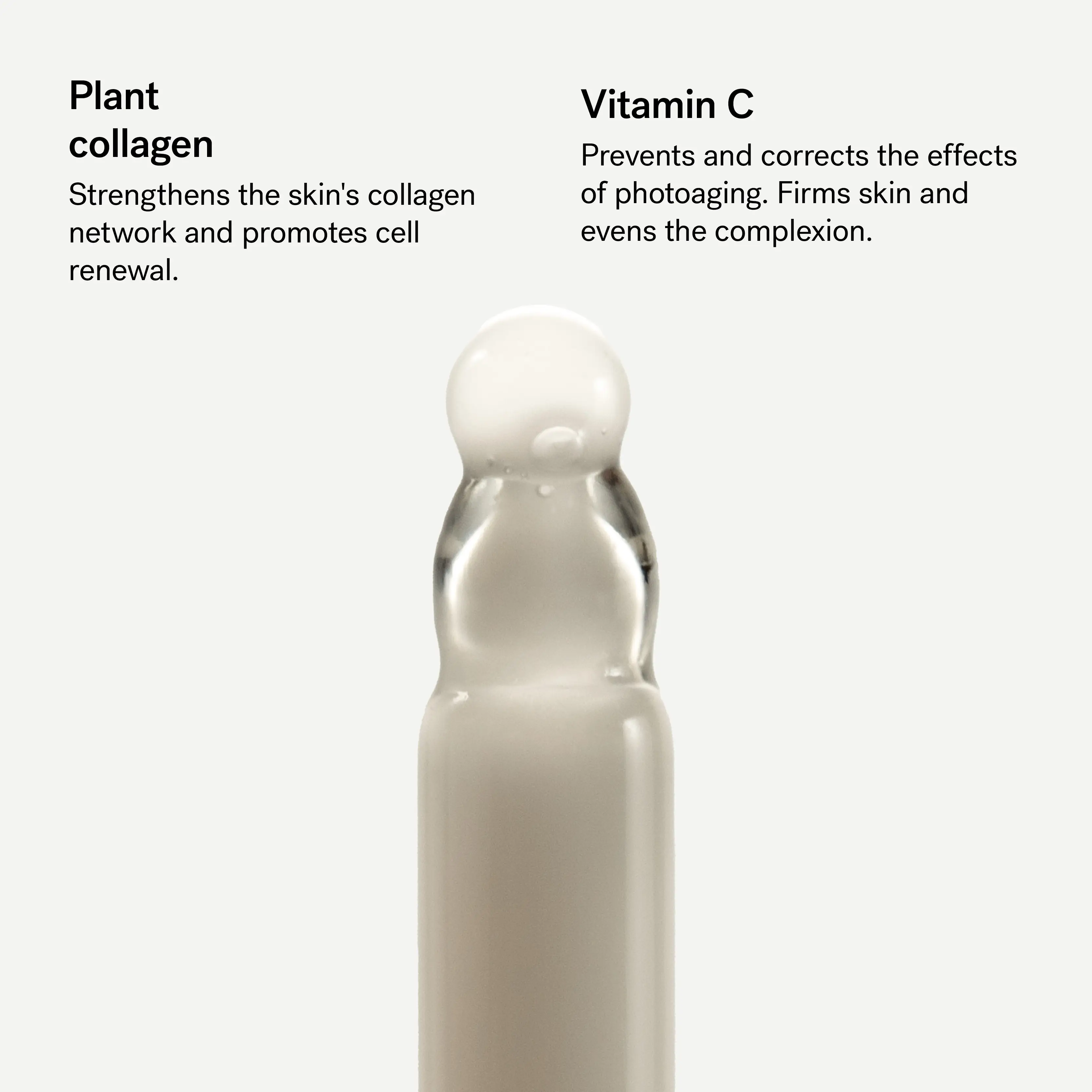 Serum for Wrinkles and Firmness — 1% Plant Collagen + 10% Vitamin C
