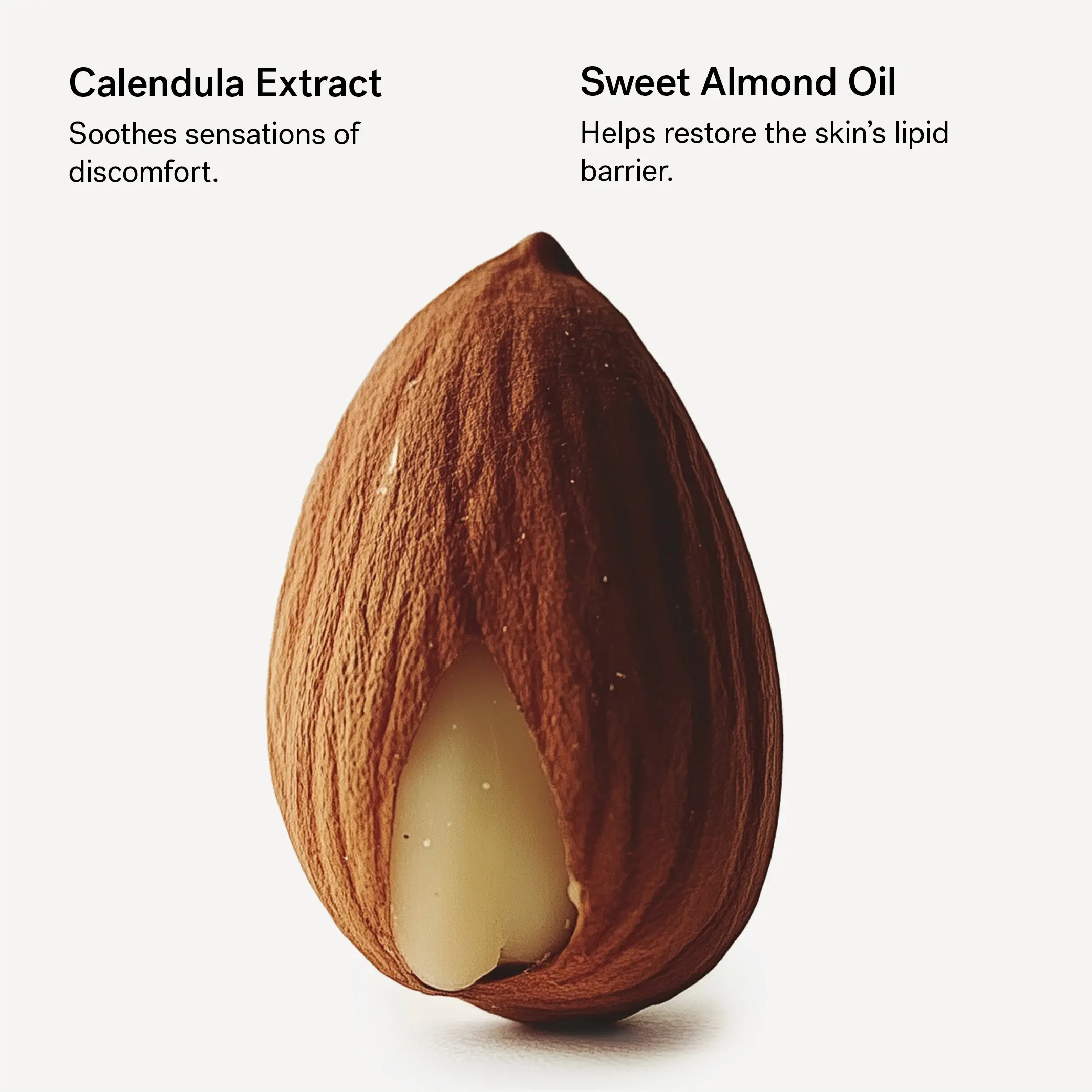 Lipid-Enriched Cleansing Bar — 1% Calendula Extract + Sweet Almond Oil