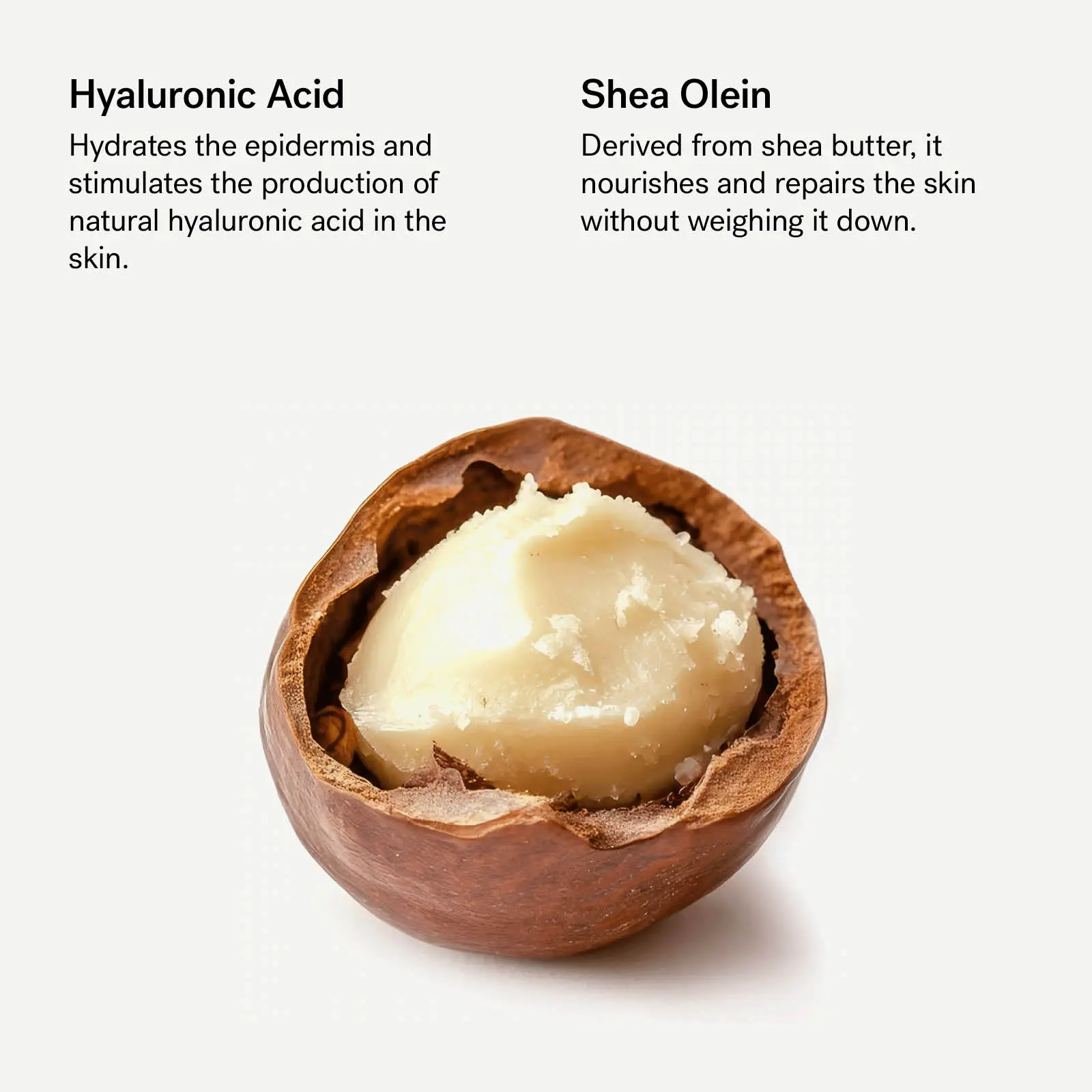 Nourishing Moisturizer — 1% Hyaluronic Acid + Shea Olein