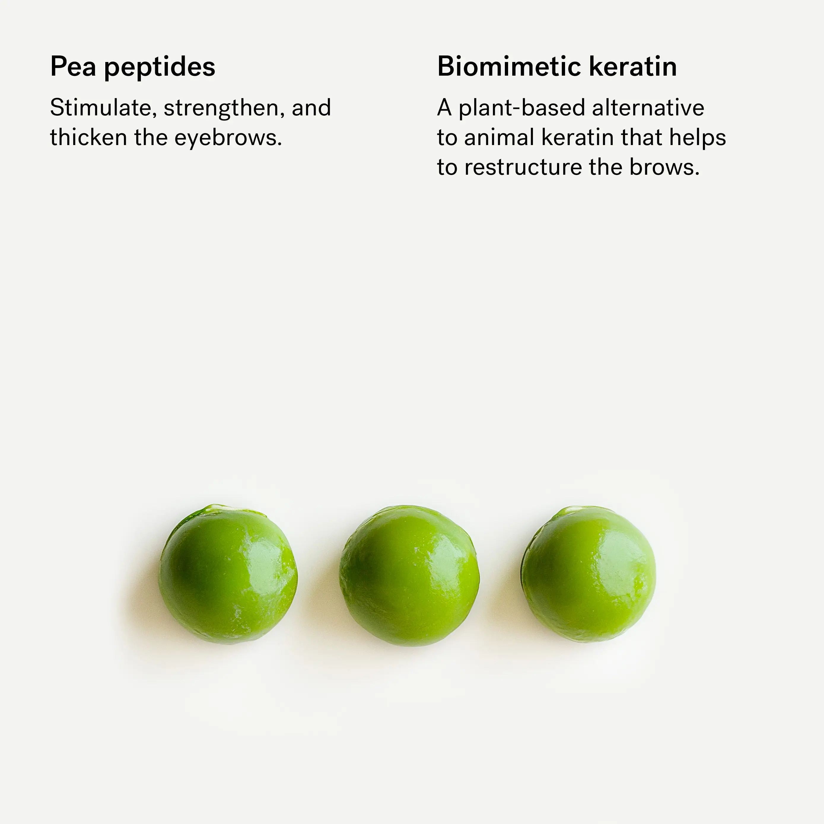 Fortifying Brow Gel — Pea Peptides + Plant-Based Keratin