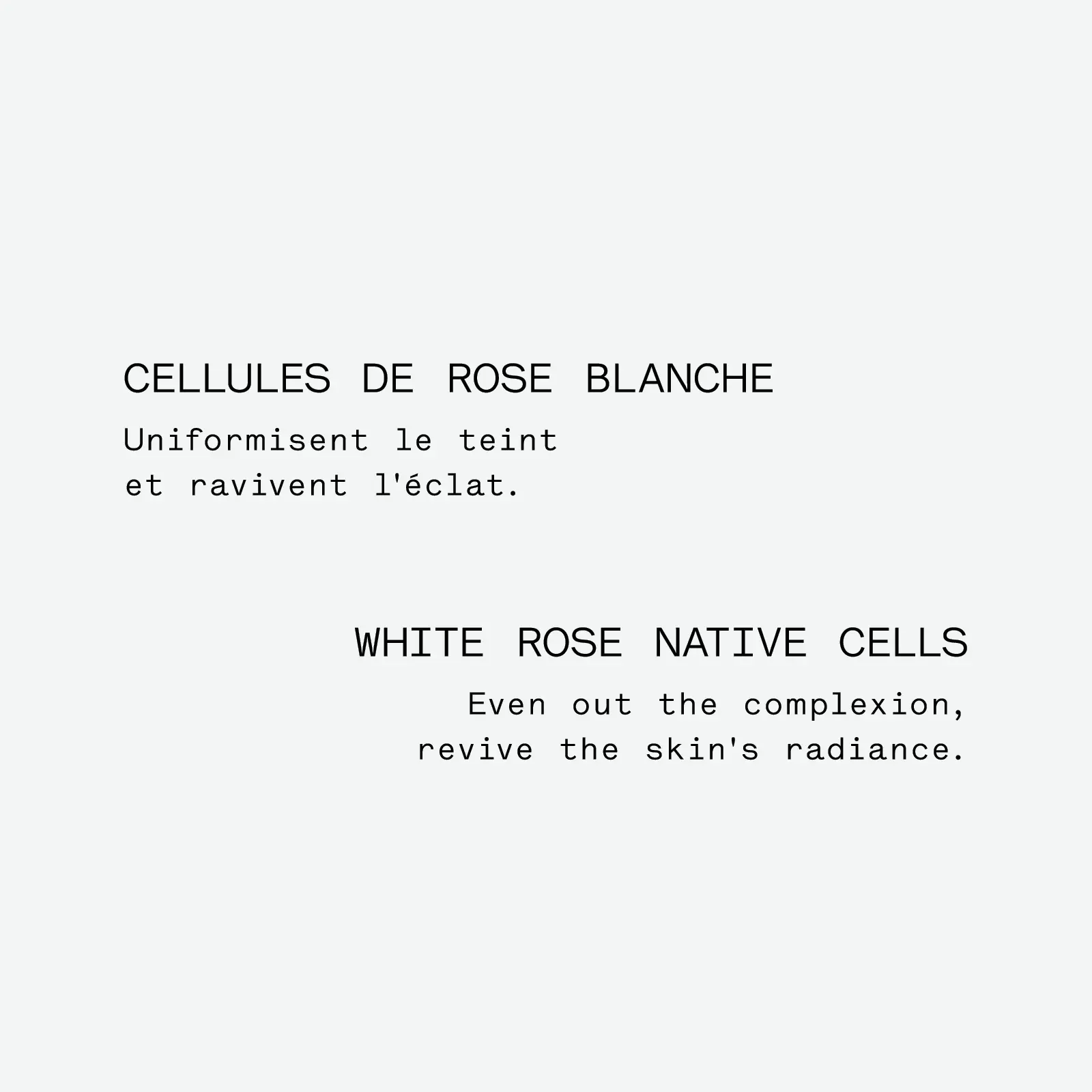 Radiance Night Serum — Botanical Blend with White Rose