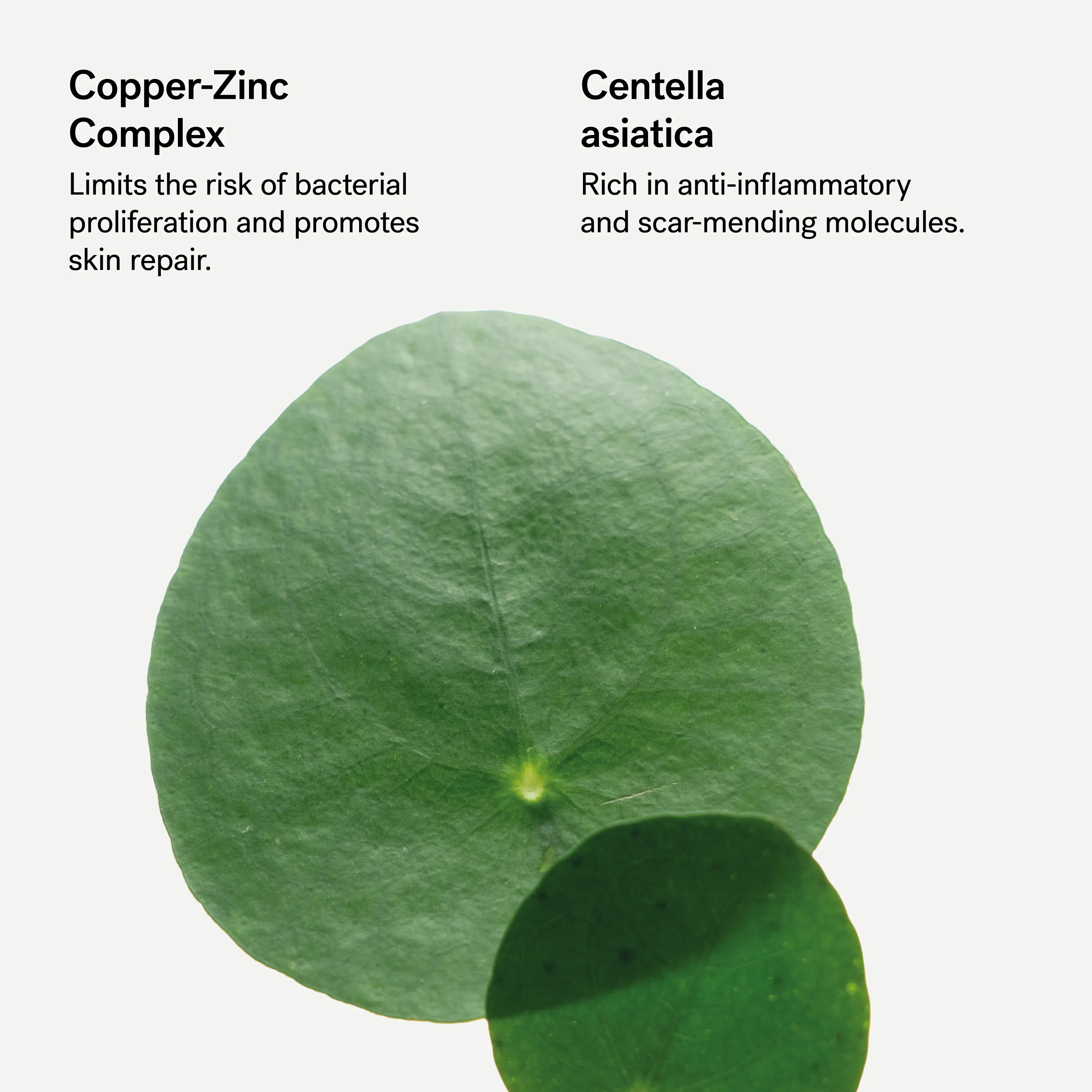 Repairing Cica-Balm — 0.5% Zinc-Copper Complex + Centella Asiatica