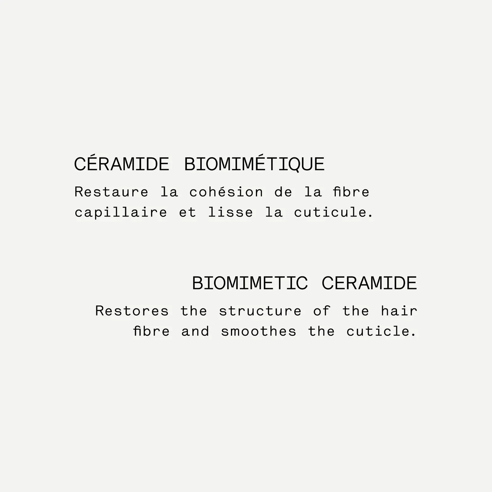 Repairing Hair Mask — 0.3% Biomimetic Ceramides + Avocado Oil